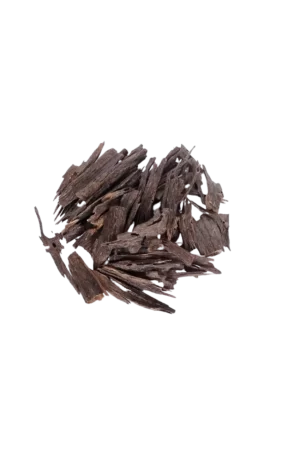 NAGALENDI