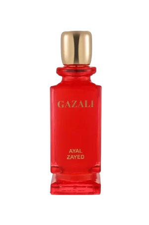 AYAL ZAYED